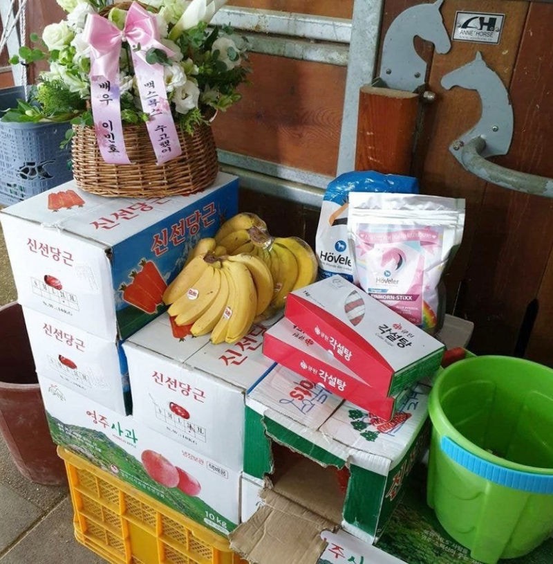 《The King：永遠的君主》李敏鎬為白馬「麥希穆斯」送上應援