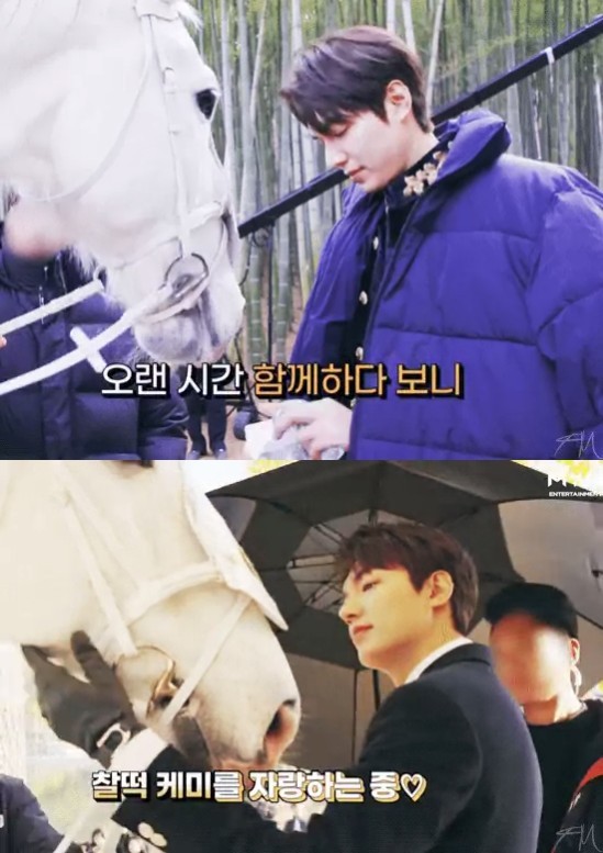 《The King：永遠的君主》李敏鎬為白馬「麥希穆斯」送上應援