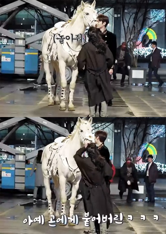 《The King：永遠的君主》李敏鎬為白馬「麥希穆斯」送上應援