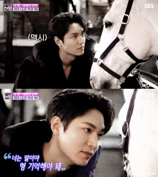 《The King：永遠的君主》李敏鎬為白馬「麥希穆斯」送上應援