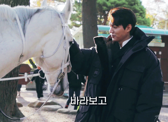 《The King：永遠的君主》李敏鎬與白馬麥希穆斯