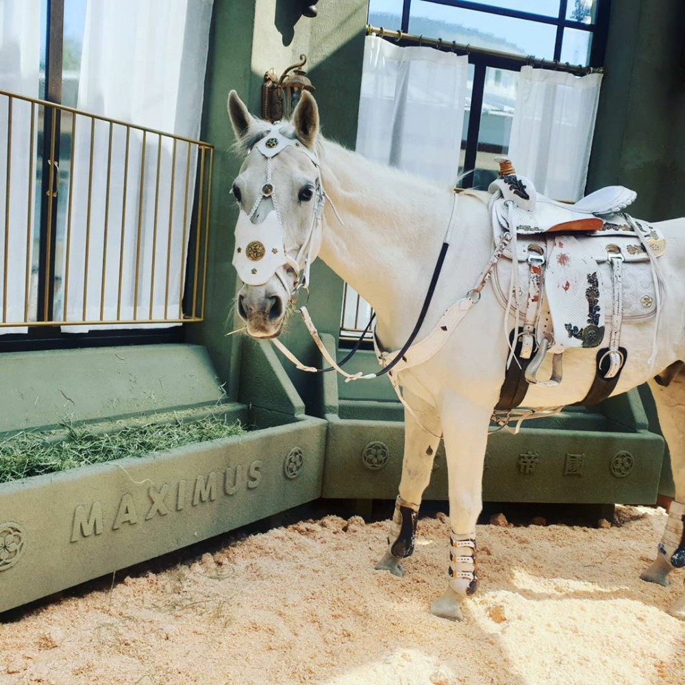 《The King：永遠的君主》白馬麥希穆斯專訪