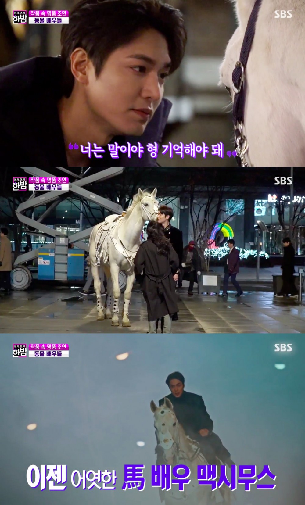 《The King：永遠的君主》白馬麥希穆斯專訪