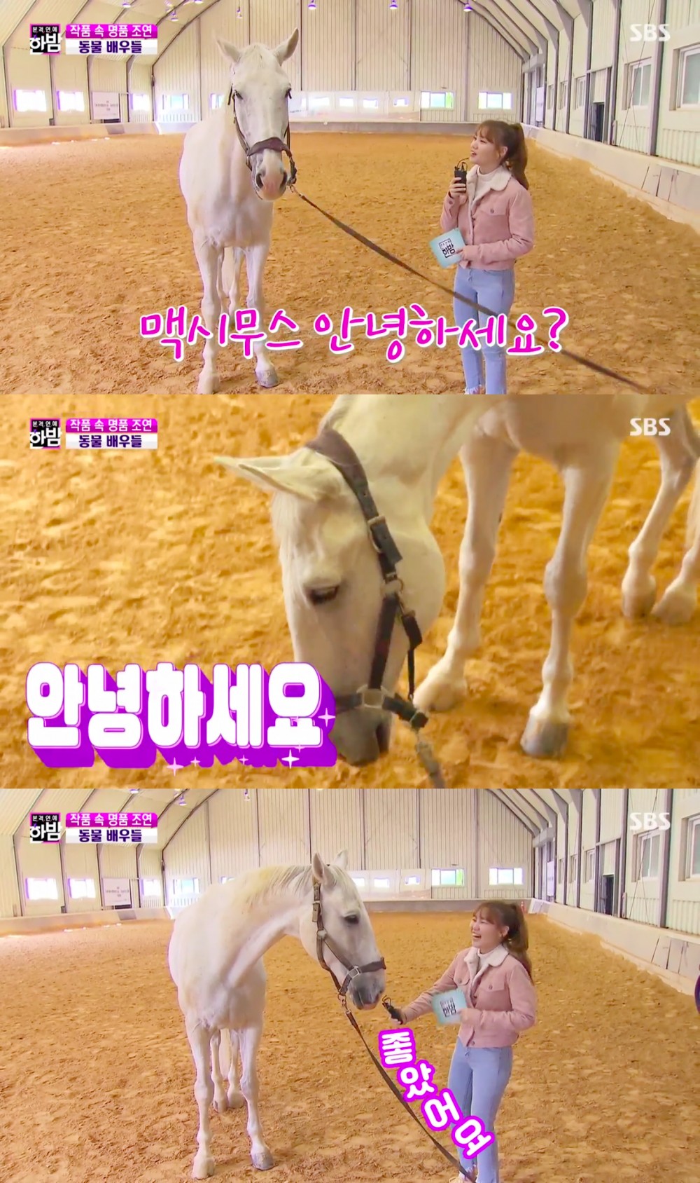 《The King：永遠的君主》白馬麥希穆斯專訪