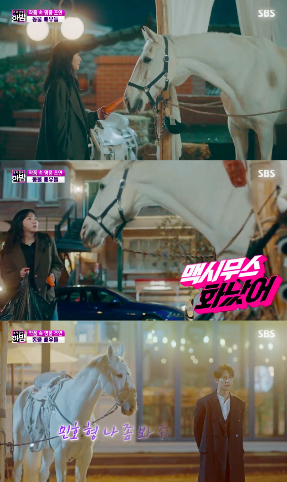 《The King：永遠的君主》白馬麥希穆斯專訪