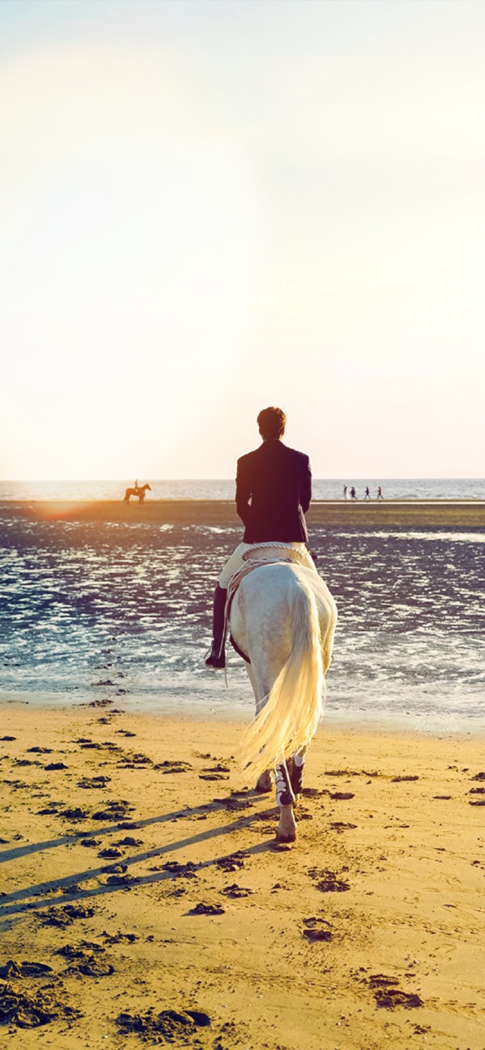 《The King：永遠的君主》手機桌布壁紙