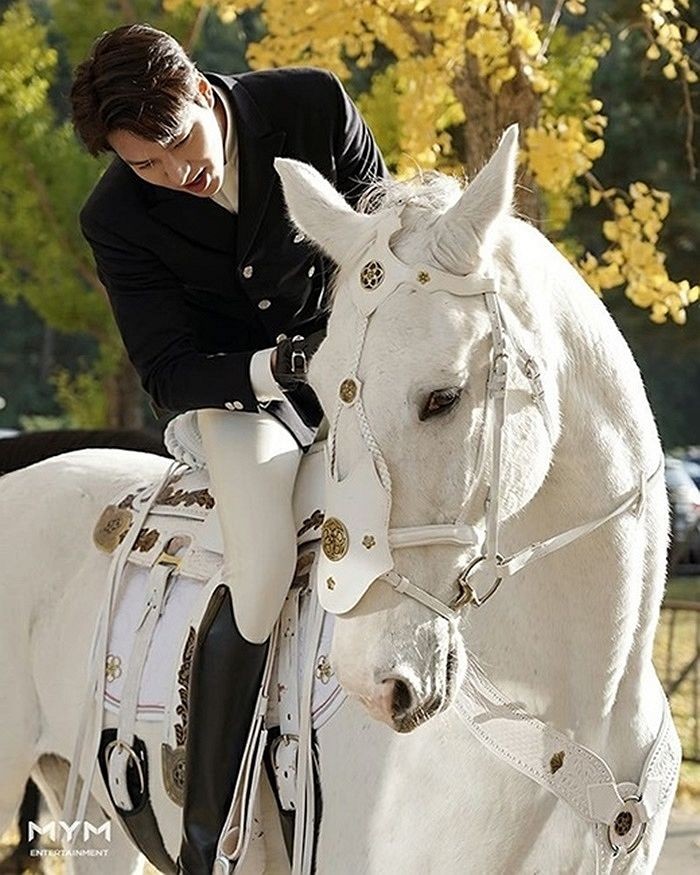 袞王李敏鎬、EXO吳世勳「御用白馬」！麥希穆斯根本是另類「男神收割機」