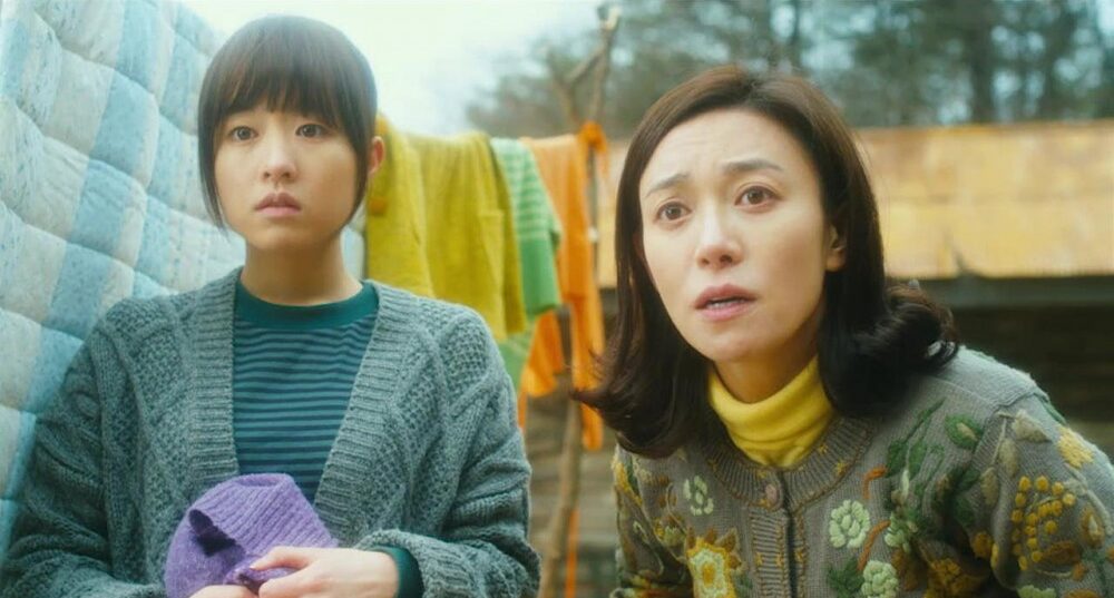 張英南憑藉《狼少年》獲頒當年大鐘獎最佳女配角。