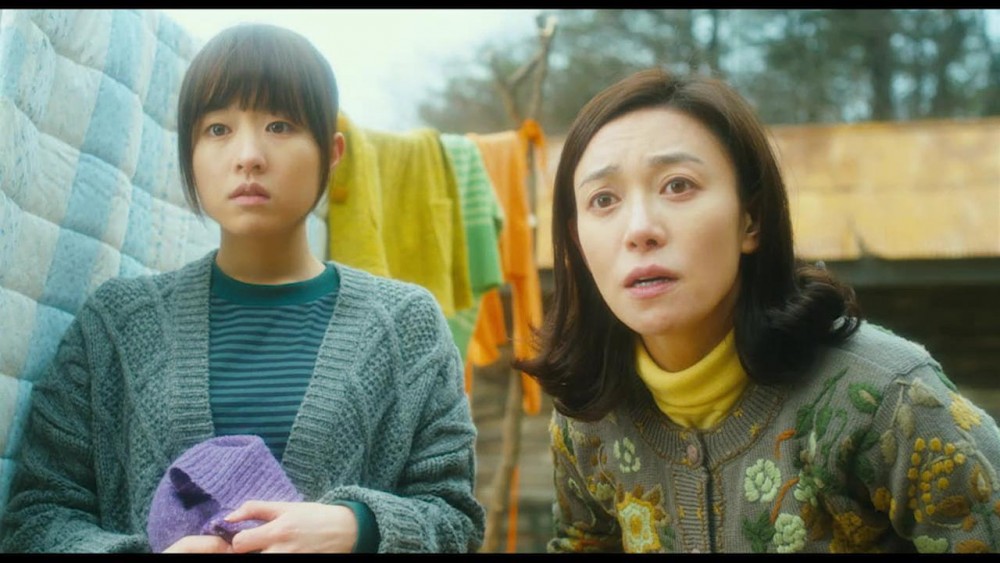 張英南憑藉《狼少年》獲頒當年大鐘獎最佳女配角。