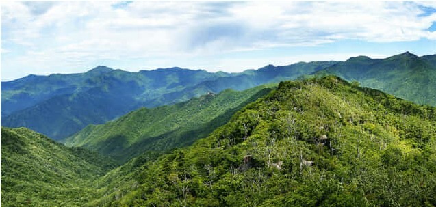 《智異山》將在本月開始進行拍攝