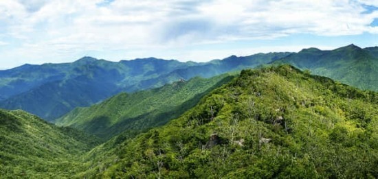 全智賢&朱智勛合作《智異山》拍攝海報