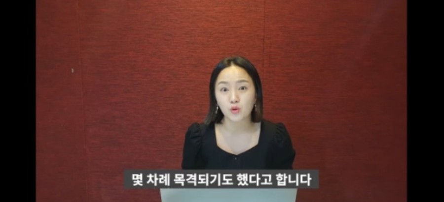 韓網熱議／韓媒再爆太妍❤RAVI「三天兩夜」約會影片