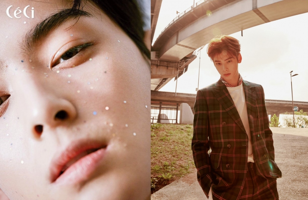 回顧車銀優歷年畫報