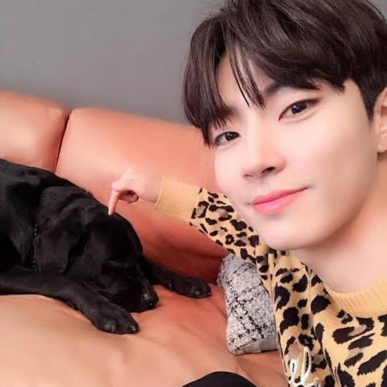 黃寅燁（黃仁燁）了解自己特徵