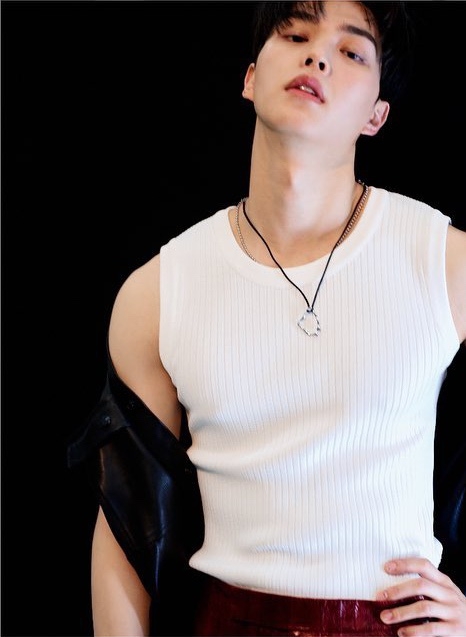 宋江新劇《喜歡的話請響鈴2》《Navillera》接連上檔