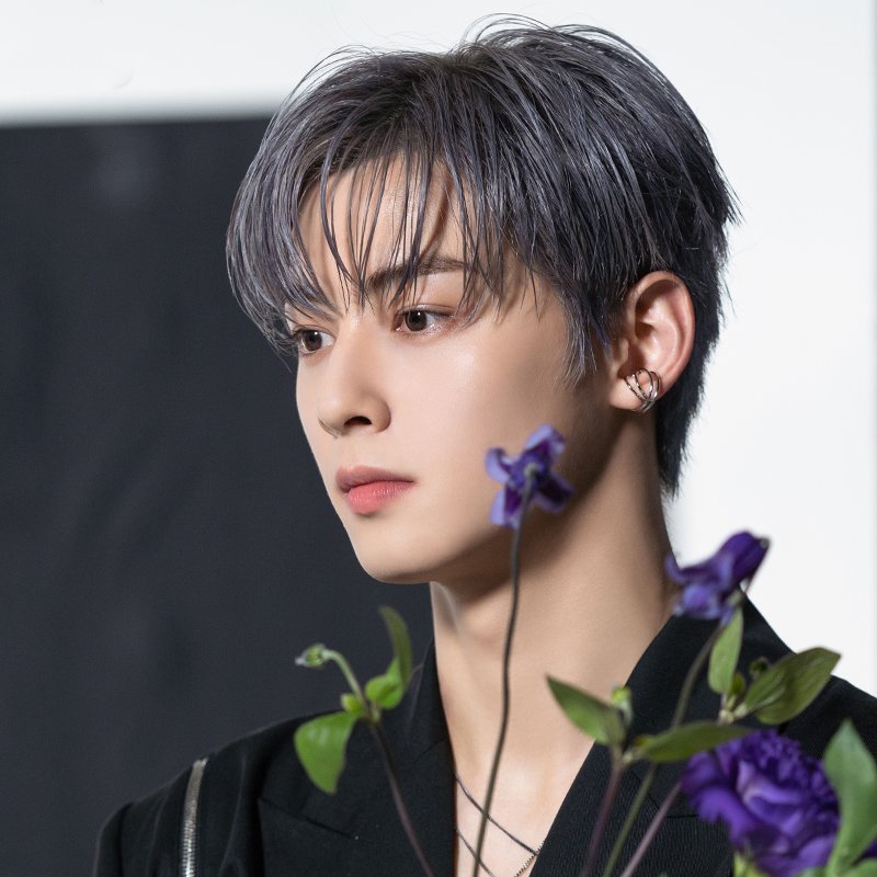 車銀優在韓國演藝圈有「臉蛋天才」之稱