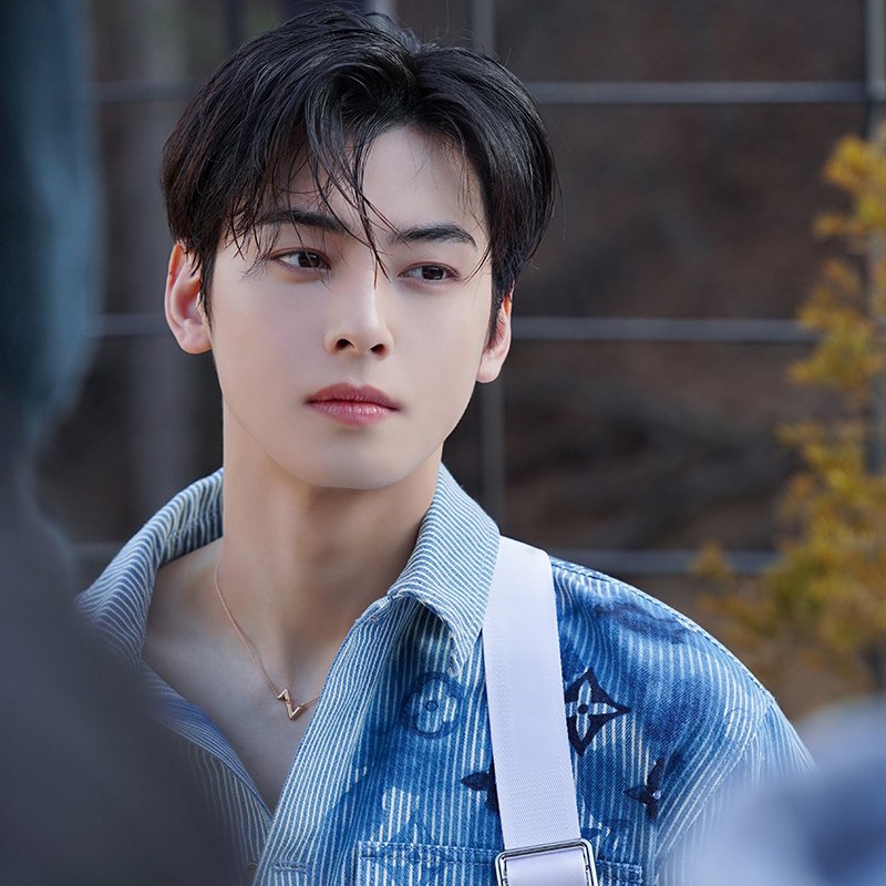 車銀優在韓國演藝圈有「臉蛋天才」之稱