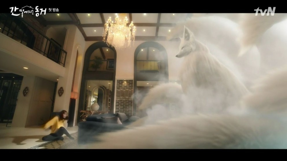 tvN新劇《我的室友是九尾狐》第1、2集劇情