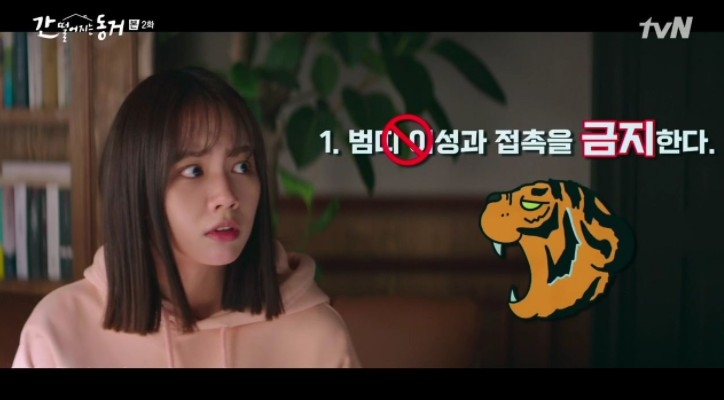 tvN新劇《我的室友是九尾狐》第1、2集劇情