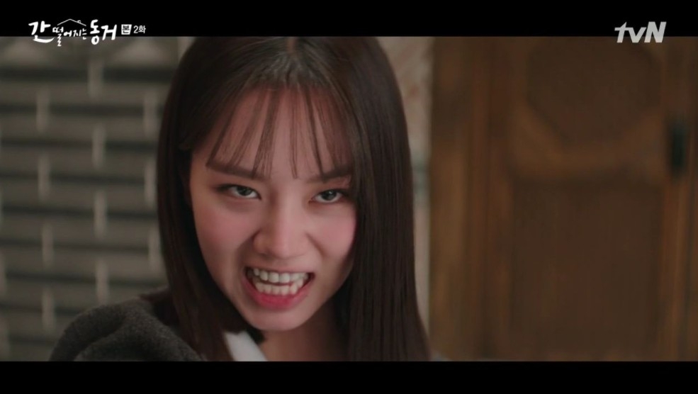 tvN新劇《我的室友是九尾狐》第1、2集劇情