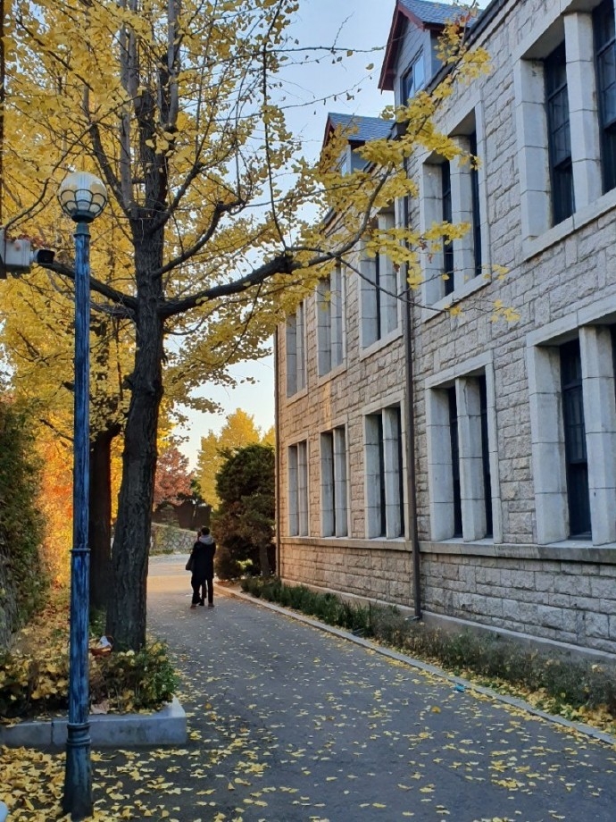 黃寅燁Netflix《安娜拉蘇瑪娜拉》拍攝地巧撞《女神降臨》！網逗趣回：啥時才畢業？