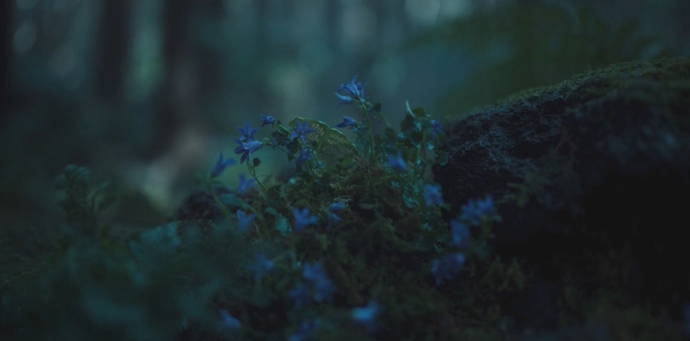 Netflix《屍戰朝鮮：雅信傳》劇情