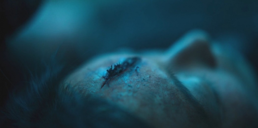 Netflix《屍戰朝鮮：雅信傳》劇情