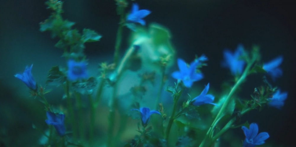 Netflix《屍戰朝鮮：雅信傳》劇情