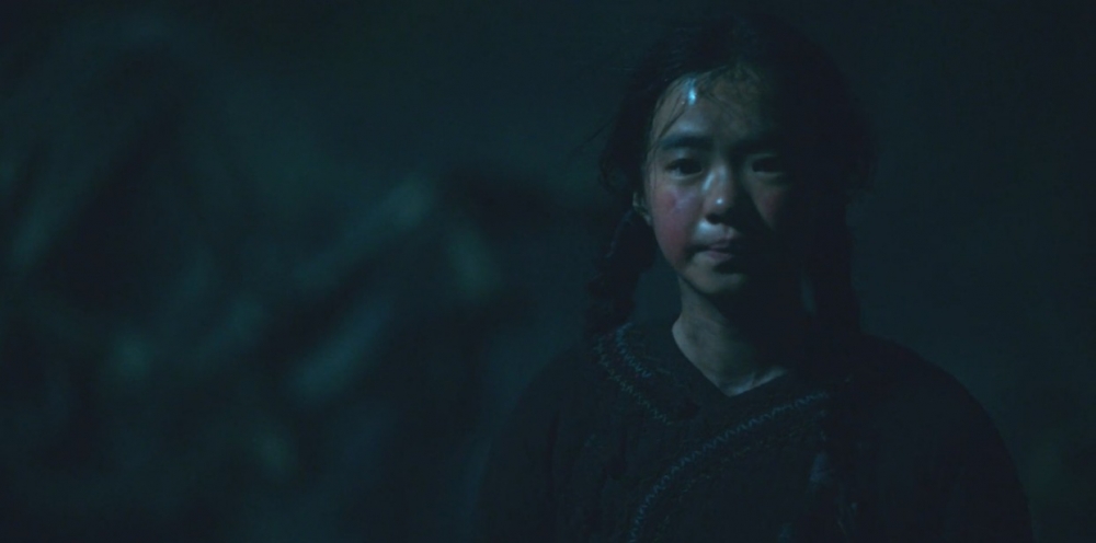 Netflix《屍戰朝鮮：雅信傳》劇情