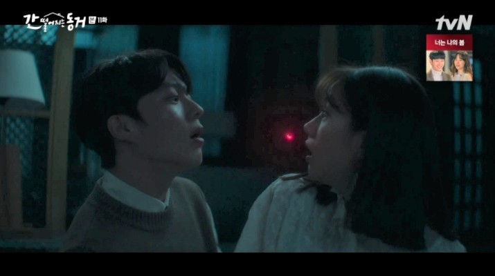 韓劇《我的室友是九尾狐》第11-12集劇情