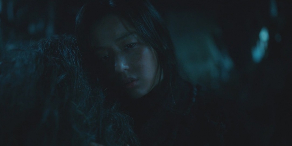 Netflix《屍戰朝鮮：雅信傳》劇情