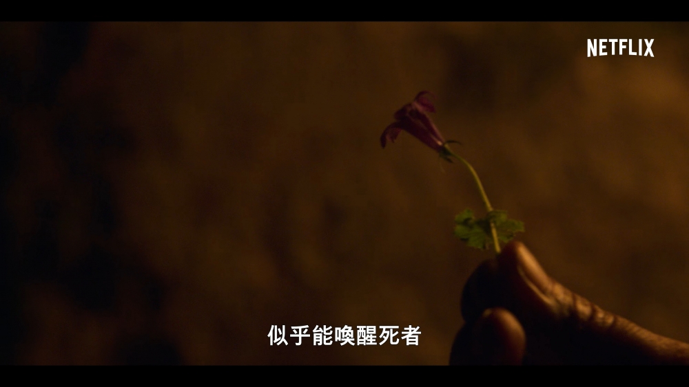 Netflix《屍戰朝鮮:雅信傳》正式預告
