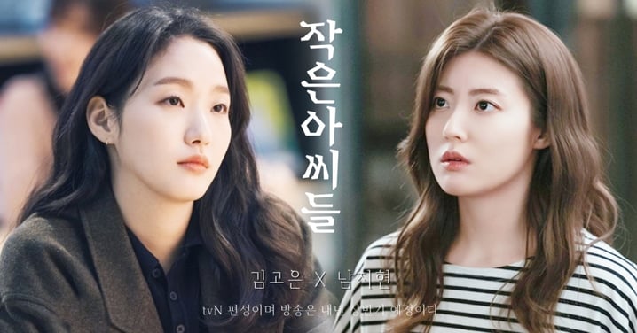 金高銀、南志鉉有望主演tvN新劇《小小姐們》！「霸氣姐妹花」以弱治暴對抗豪門