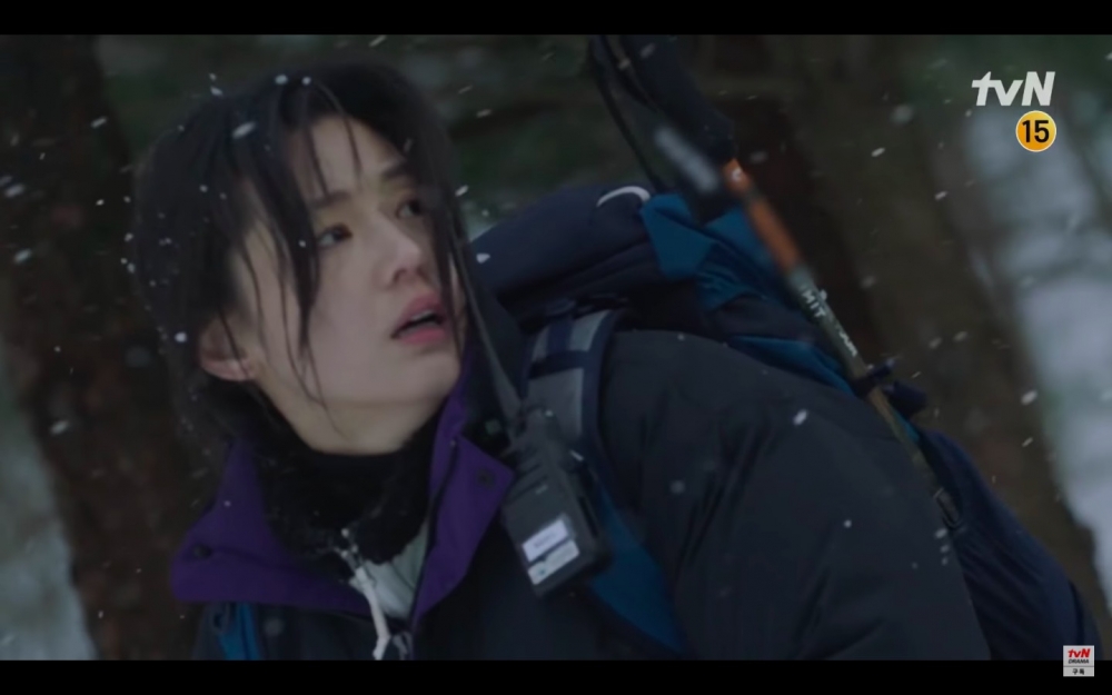 《智異山》由全智賢與朱智勛領銜主演