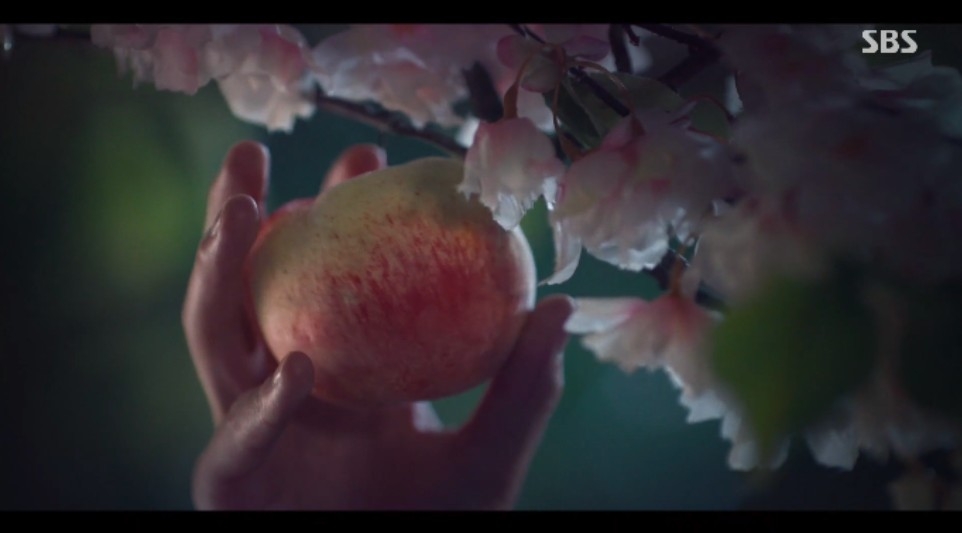 當初沒能遵守約定摘給紅天機的桃子，終於能在這時兌現承諾，不過也像當時一樣、免不了被桃子園的主人追趕