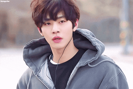 有很多網友開始討論，將會由哪位演員擔任「柔美老公」馴鹿一角呢？被提名的男演員有安孝燮