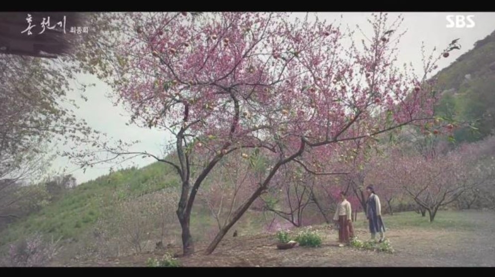 回到了小時候一起去的桃子園，當初沒能遵守約定摘給紅天機的桃子