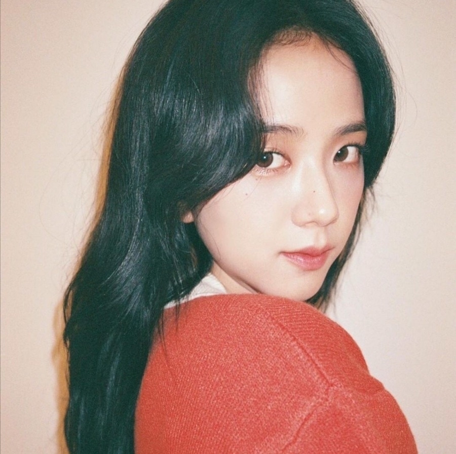 Jisoo飾演開朗可愛的湖秀女子大學英文系新生「殷英路」