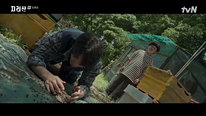 金率父親因養蜂場被破壞而崩潰