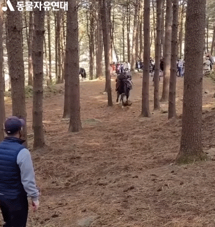 「墜馬戲」拍攝現場影片公開