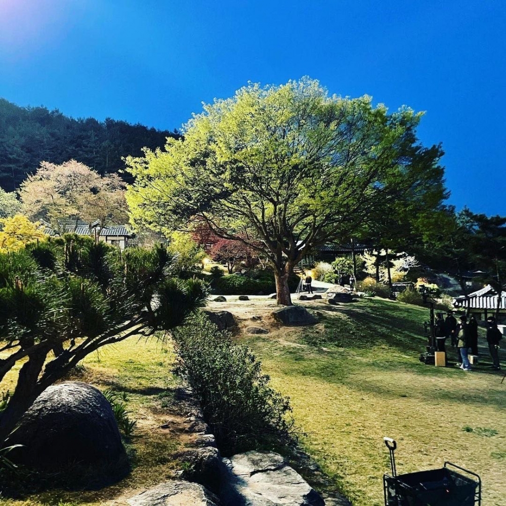 《九尾狐傳2》傳已經開拍