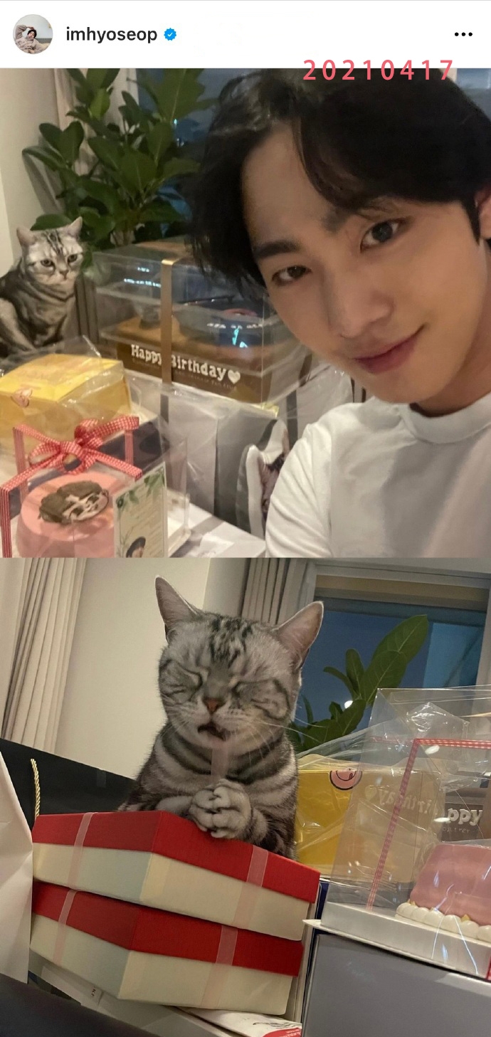 安孝燮往年生日認證照