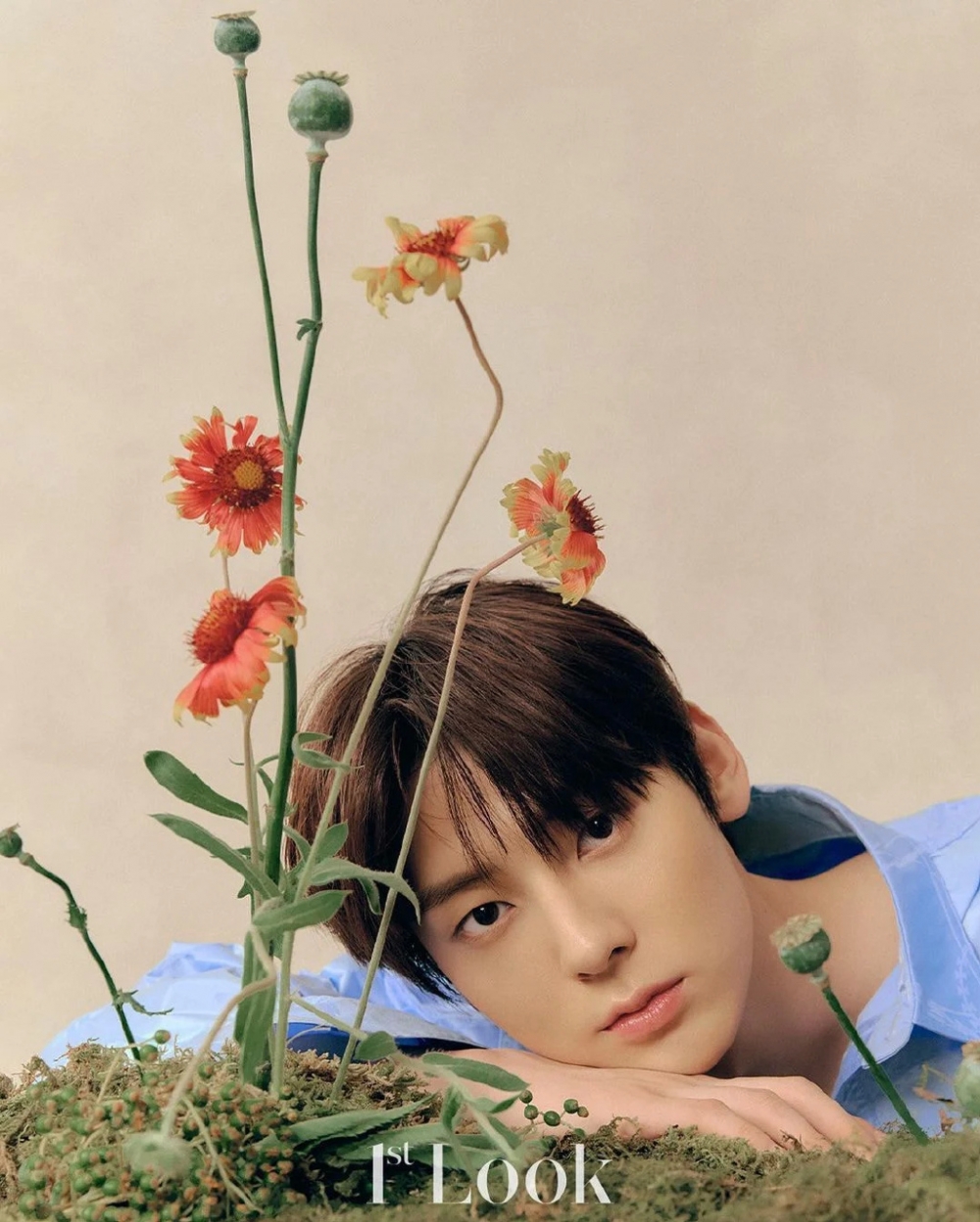 旼炫飾演名門徐氏家族的天才貴公子「徐律」