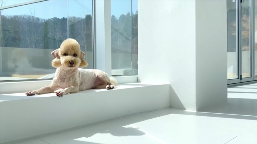 姜其永的豪宅住家引發熱議