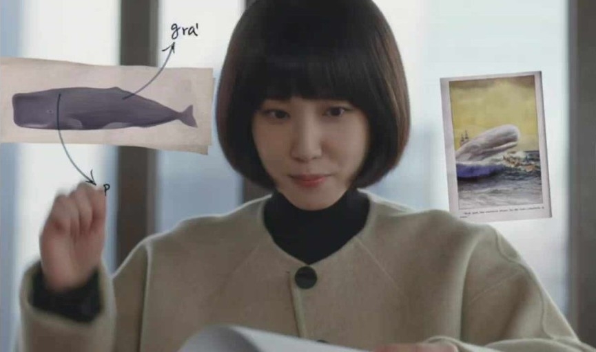 禹英禑是鯨魚狂粉