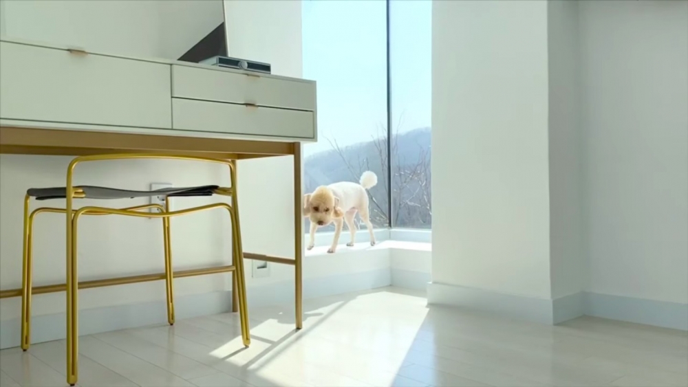 姜其永的豪宅住家引發熱議