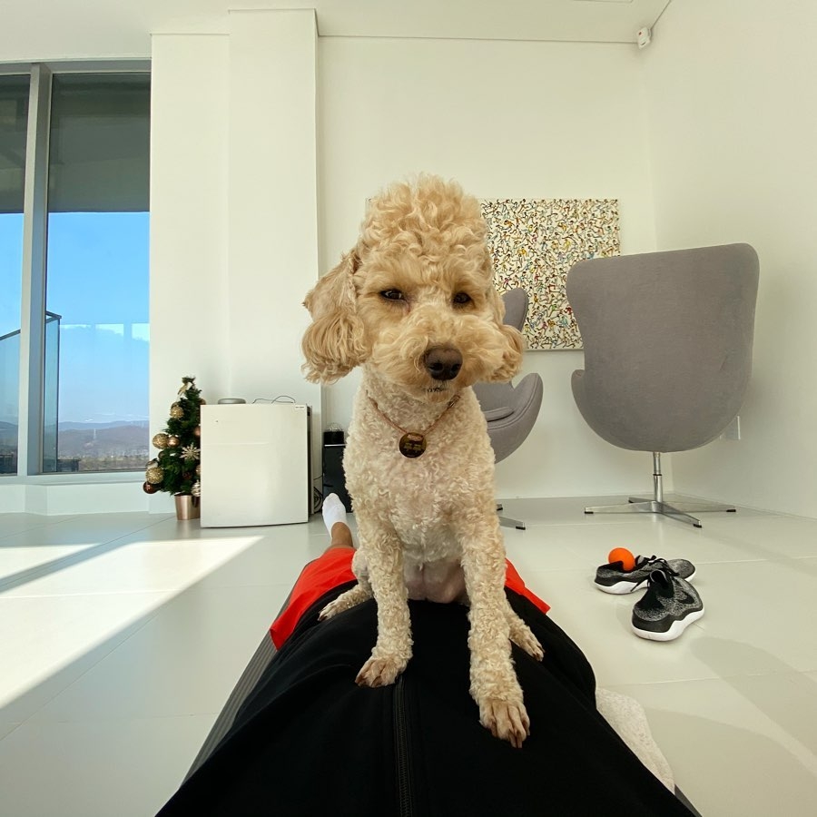 姜其永生活照可以看到部分豪宅