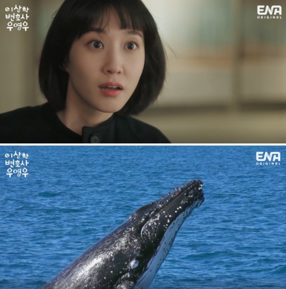 英禑想到點子時就會出現鯨魚在大海游泳畫面