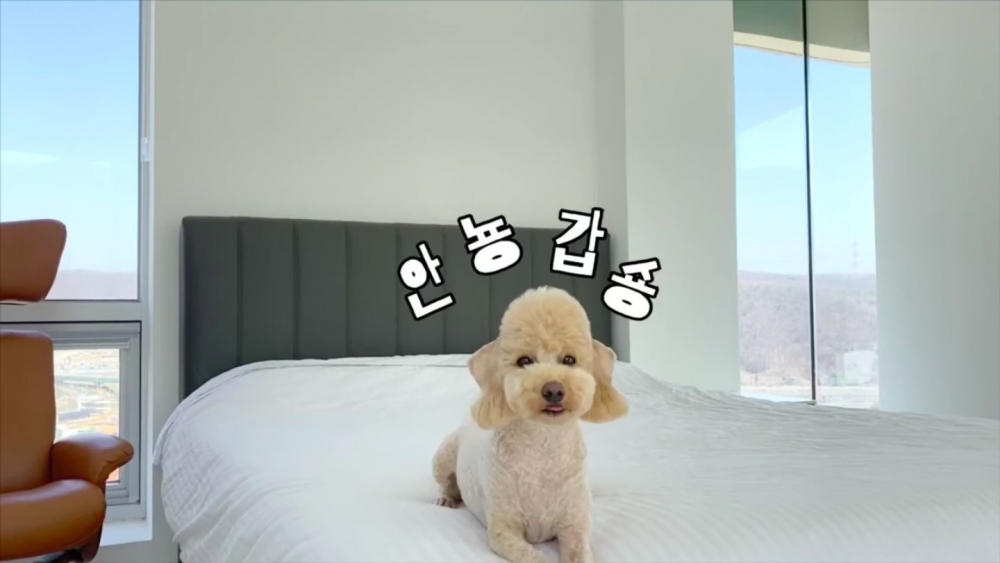 姜其永的豪宅住家引發熱議