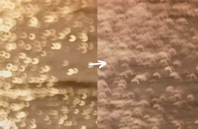 因為濬浩的話海面浪花變成海豚模樣